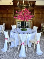 Bourgainvillea Trees - Image 2