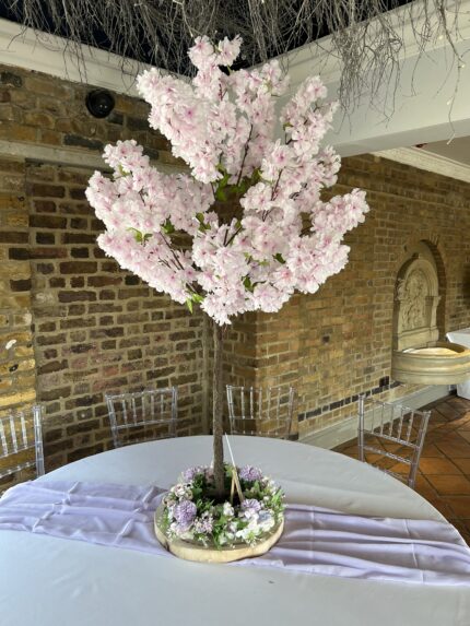 Light Pink Cherry Blossom Trees