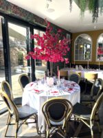 Bourgainvillea Trees