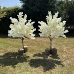 Deluxe Blossom Trees